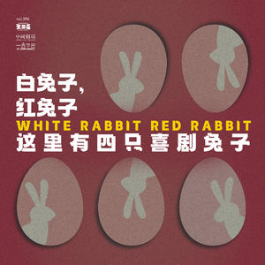 vol.220 白兔子红兔子,这里有四只喜剧兔子