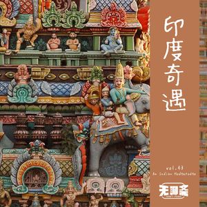 vol.43 印度奇遇记
