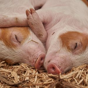 总是睡不够的都市人，你真的缺觉吗-VOL.95