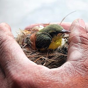 35岁就找不到工作？这届年轻人该怎么办-VOL.82