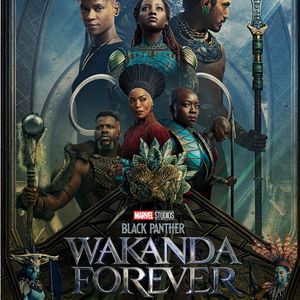 《黑豹2》不好看但是可以期待一下《蚁人与黄蜂女》