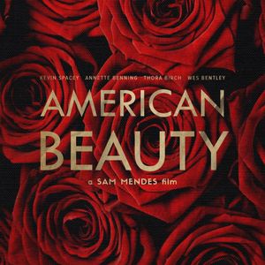 《美国丽人》要爱，不要对抗