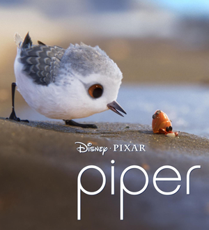 奥斯卡动画短片提名《珍珠》《回光返照》《鹬》《盲眼纬莎》