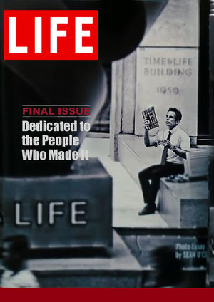 十分好看的《白日梦想家》