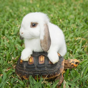 №116: 听个播客也要加速了？