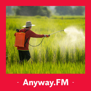 №91: 听众挑刺大全（1）