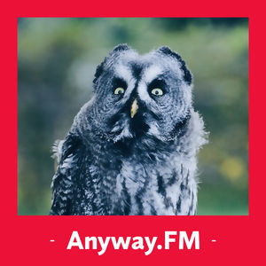 №62: 别再错！这些单词应该这样念！