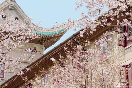 地图炮之武汉：我会在有阳光的地方等你