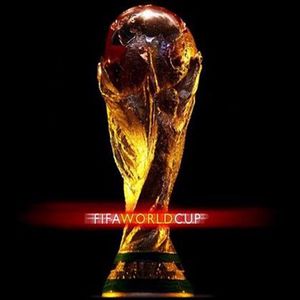 论有感情的告别世界杯