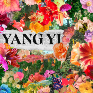 你有一张邀请函 | 杨一的花园，请你来玩