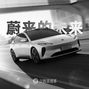 蔚来的未来：两位老特斯拉车主换车记