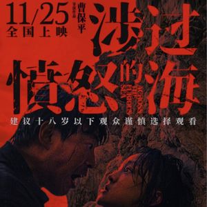 涉过愤怒的海：不是复仇爽片，是愤怒的好片