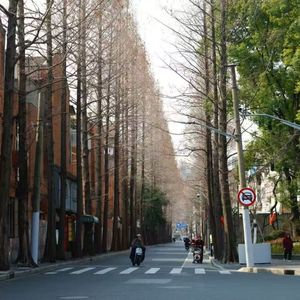 别总往外跑了！你住的城市，可能好玩100倍 | 串台林中漫步