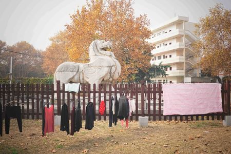 从南朝石刻到《首都计划》:四方当代美术馆的南京地形学
