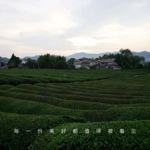 艺术在浮梁：时间在这里是需要被遗忘的