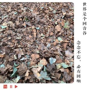 致听友：世界是个回音谷，念念不忘，必有回响