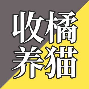 EP11-如何奶大一只小橘猫