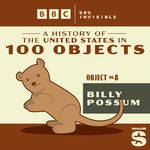 100 Objects #8: Billy Possum
