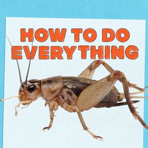 HTDE: Crickets and Clowns