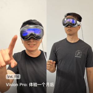 Vol. 114 Vision Pro: 体验一个月后