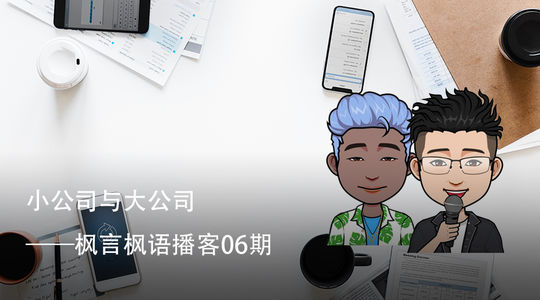 Vol. 6 小公司与大公司