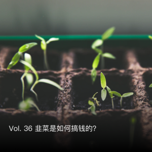 Vol. 36 韭菜是如何搞钱的？