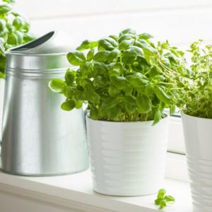 #63 番外篇 - 去年底瞎聊的第1个小时