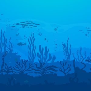 Diving into the deep blue