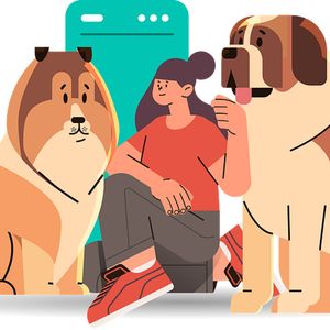 Translating animal sounds