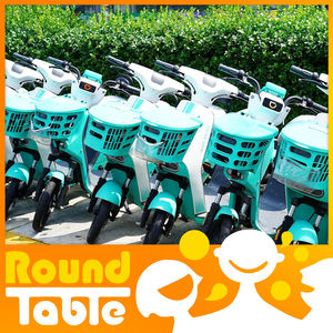 Wheels up for Beijing's e-bike scene!