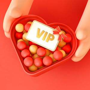 The allure of China's VIP e-bundles