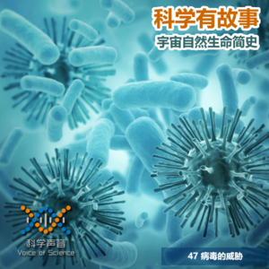 宇宙自然生命简史：47病毒的威胁
