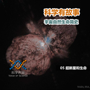 宇宙自然生命简史：05超新星和生命
