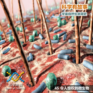宇宙自然生命简史：45令人惊叹的微生物