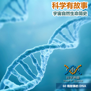 宇宙自然生命简史：60 有故事的 DNA