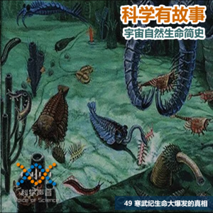 宇宙自然生命简史：49寒武纪生命大爆发的真相