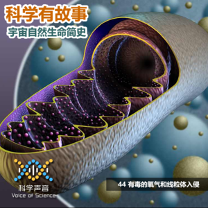 宇宙自然生命简史：44有毒的氧气和线粒体入侵