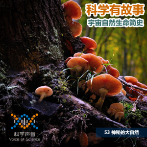 宇宙自然生命简史：53神秘的大自然