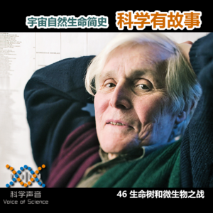 宇宙自然生命简史：46生命树和微生物之战