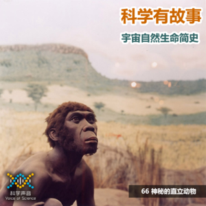宇宙自然生命简史：66 神秘的直立动物