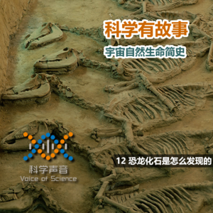 宇宙自然生命简史：12恐龙化石是怎么发现的