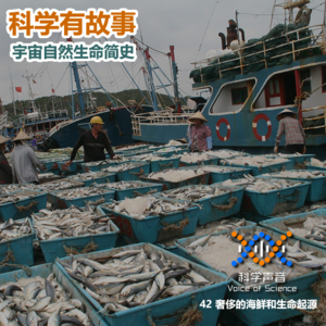 宇宙自然生命简史：42奢侈的海鲜和生命的起源