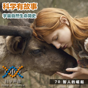 宇宙自然生命简史：70智人的崛起