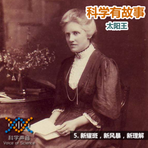 太阳王05：新耀斑，新风暴，新理解