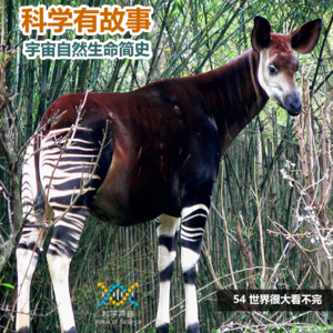宇宙自然生命简史：54世界很大看不完