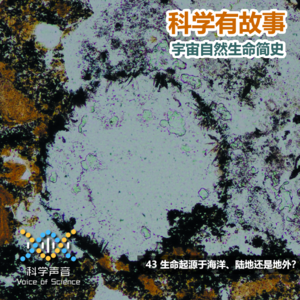 宇宙自然生命简史：43生命起源于海洋、陆地还是地外？