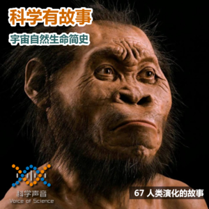 宇宙自然生命简史：67人类演化的故事