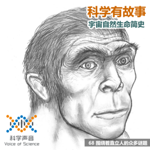 宇宙自然生命简史：68围绕着直立人的众多谜题