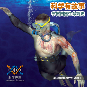 宇宙自然生命简史：36裸潜是种什么体验？