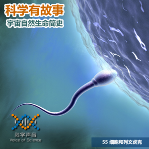 宇宙自然生命简史：55细胞和列文虎克